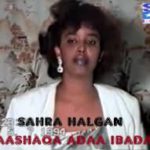 Sahra halgan